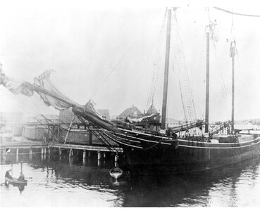 Loading Lumber onto Horatio.jpg