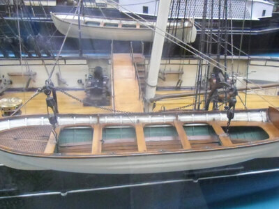 scale_1200 (4).jpg
