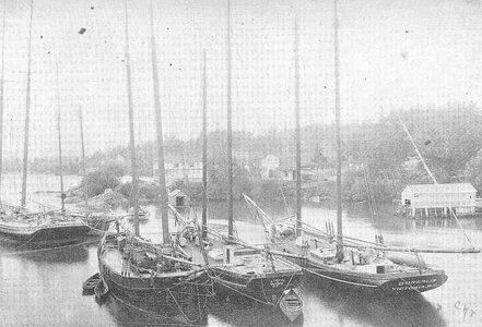 fmib-48375-types-of-sealing-schooners-victoria-harbor-1894-f37c9d-640.jpeg
