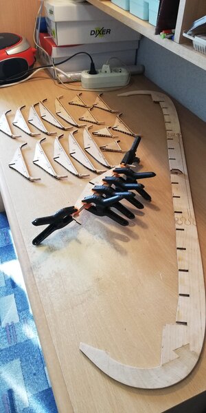 IMG_20240228_142233.jpg IMG_20240228_142233.jpg