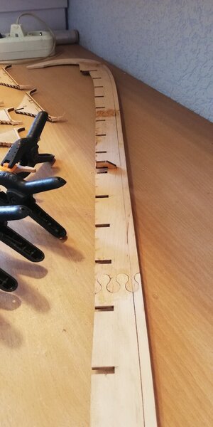 IMG_20240228_142315.jpg IMG_20240228_142315.jpg