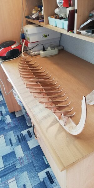 IMG_20240228_160514.jpg IMG_20240228_160514.jpg