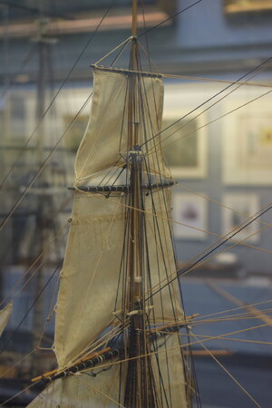 DSC_0448.JPG