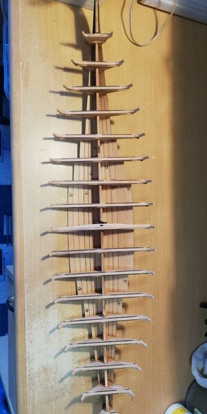 IMG_20240302_172123.jpg IMG_20240302_172123.jpg