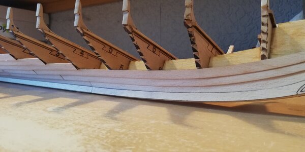 IMG_20240302_172147.jpg IMG_20240302_172147.jpg