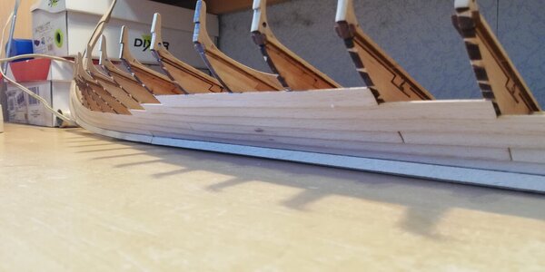 IMG_20240302_172157.jpg IMG_20240302_172157.jpg