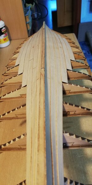 IMG_20240302_172234.jpg IMG_20240302_172234.jpg