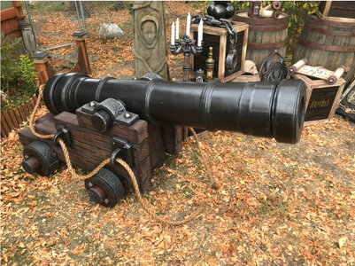 cannon.jpg