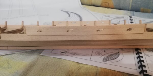 IMG_20240304_195333.jpg IMG_20240304_195333.jpg