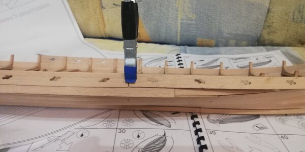 IMG_20240304_195504.jpg IMG_20240304_195504.jpg