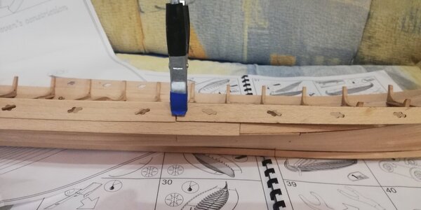 IMG_20240304_195503.jpg IMG_20240304_195503.jpg