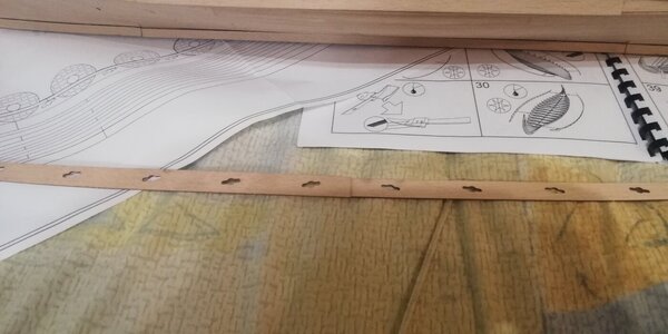 IMG_20240304_195514.jpg IMG_20240304_195514.jpg