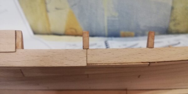 IMG_20240304_195549.jpg IMG_20240304_195549.jpg