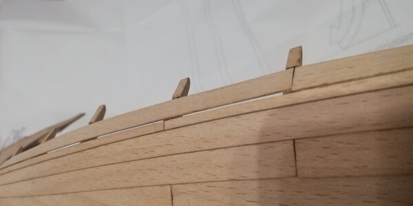 IMG_20240304_195647.jpg IMG_20240304_195647.jpg