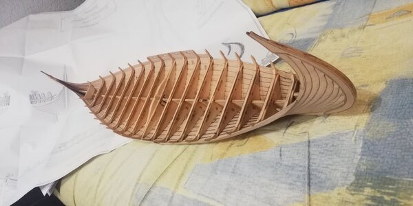 IMG_20240304_195952.jpg IMG_20240304_195952.jpg