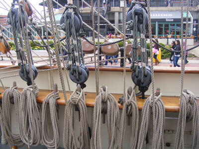 DSCF0076.JPG