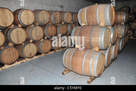 two-racks-of-wood-hogshead-barrels-three-high-storing-malbec-wine-c5ymy0(1).jpg
