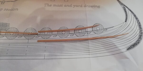 IMG_20240312_165554.jpg IMG_20240312_165554.jpg