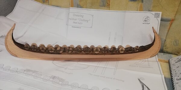 IMG_20240312_214837.jpg IMG_20240312_214837.jpg