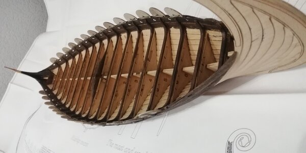 IMG_20240312_214720.jpg IMG_20240312_214720.jpg