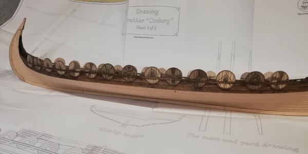 IMG_20240312_214712.jpg IMG_20240312_214712.jpg