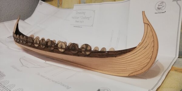 IMG_20240312_214706.jpg IMG_20240312_214706.jpg