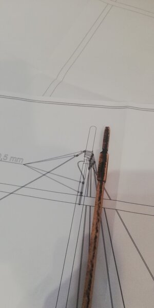 IMG_20240318_113308.jpg IMG_20240318_113308.jpg