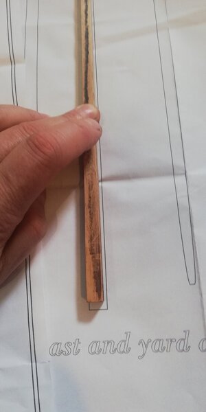 IMG_20240318_113609.jpg IMG_20240318_113609.jpg