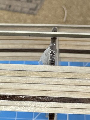 IMG_2913.jpeg