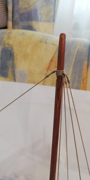 IMG_20240324_164239.jpg IMG_20240324_164239.jpg