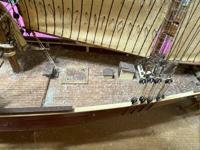 IMG_3698.JPG