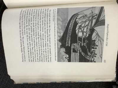 IMG_1232.jpeg