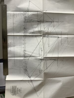 IMG_1231.jpeg