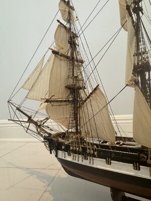 IMG_7244.JPG