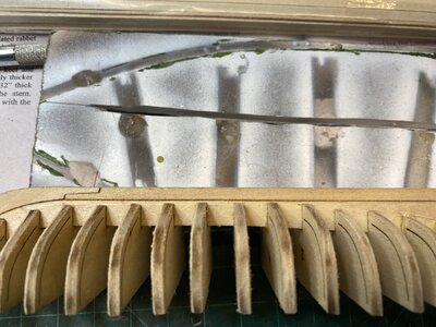 IMG_8646.jpeg