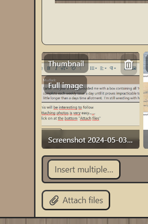 Screenshot 2024-05-03 132136.png
