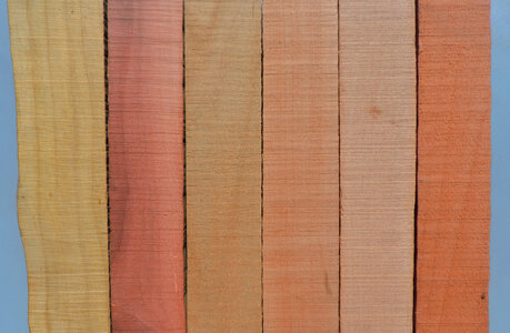 colors of pearwood2.jpg