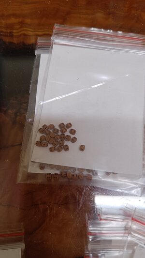 IMG20240602163530.jpg