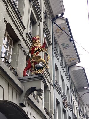 IMG_6135.jpeg