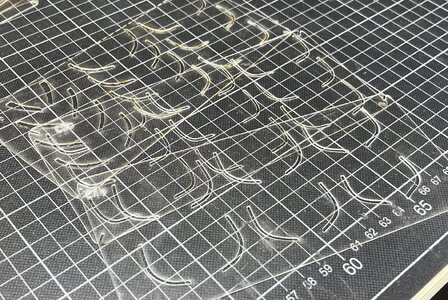 IMG_5105.jpg IMG_5105.jpg