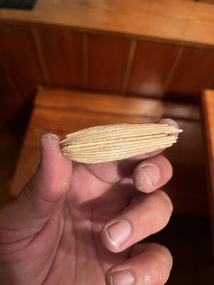 IMG_6748.jpeg
