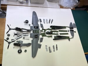 IMG_4857.jpeg