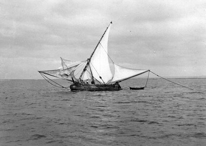 Muleta do Seixal.jpg