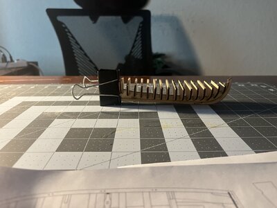 IMG_0197.jpeg IMG_0197.jpeg