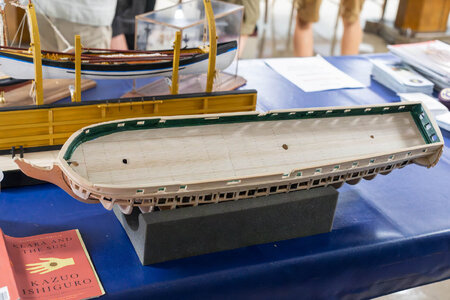 8C7A8743-Enhanced-NR.jpg