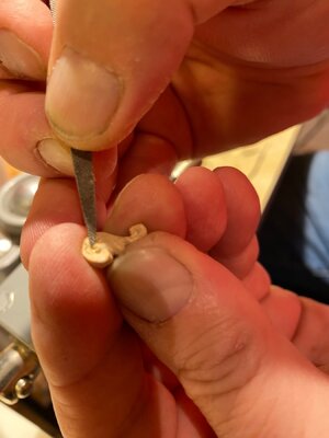 IMG_9871.jpeg IMG_9871.jpeg