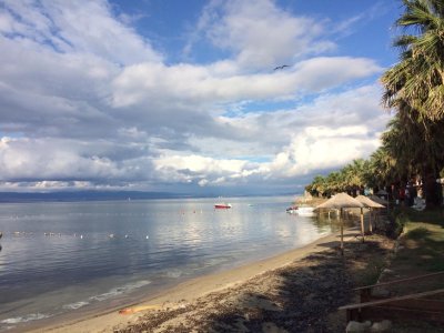 IMG_1657.jpeg