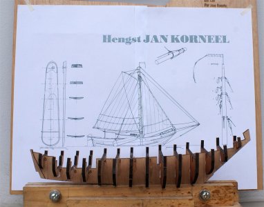 Hengst (9).JPG