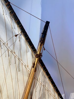 IMG_1082.jpg IMG_1082.jpg