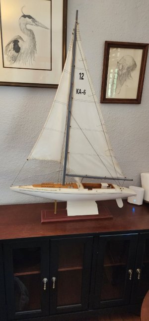 20241007_114340.jpg